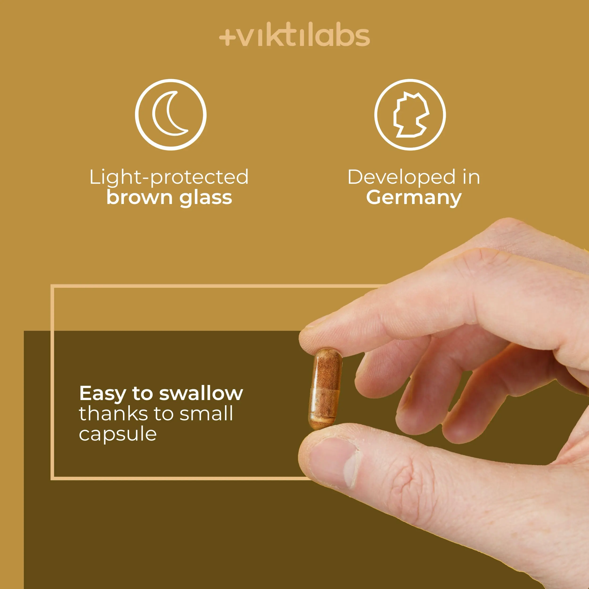 Premium Cordyceps: Vitalpilz mit Vitamin C - Image 10