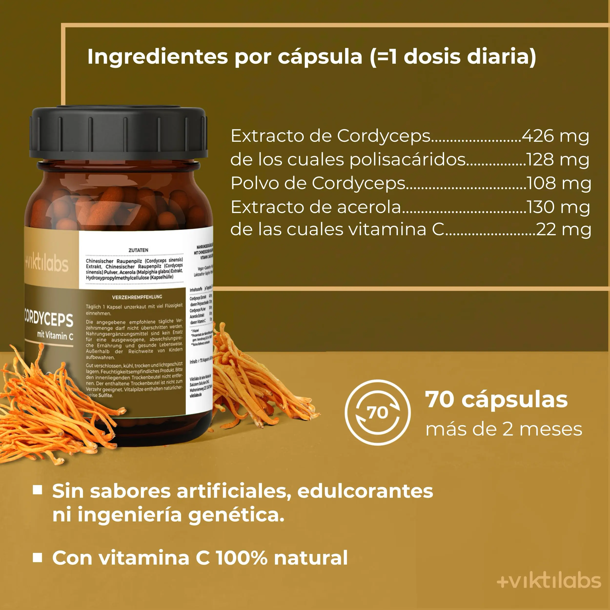 Premium Cordyceps: Vitalpilz mit Vitamin C - Image 13