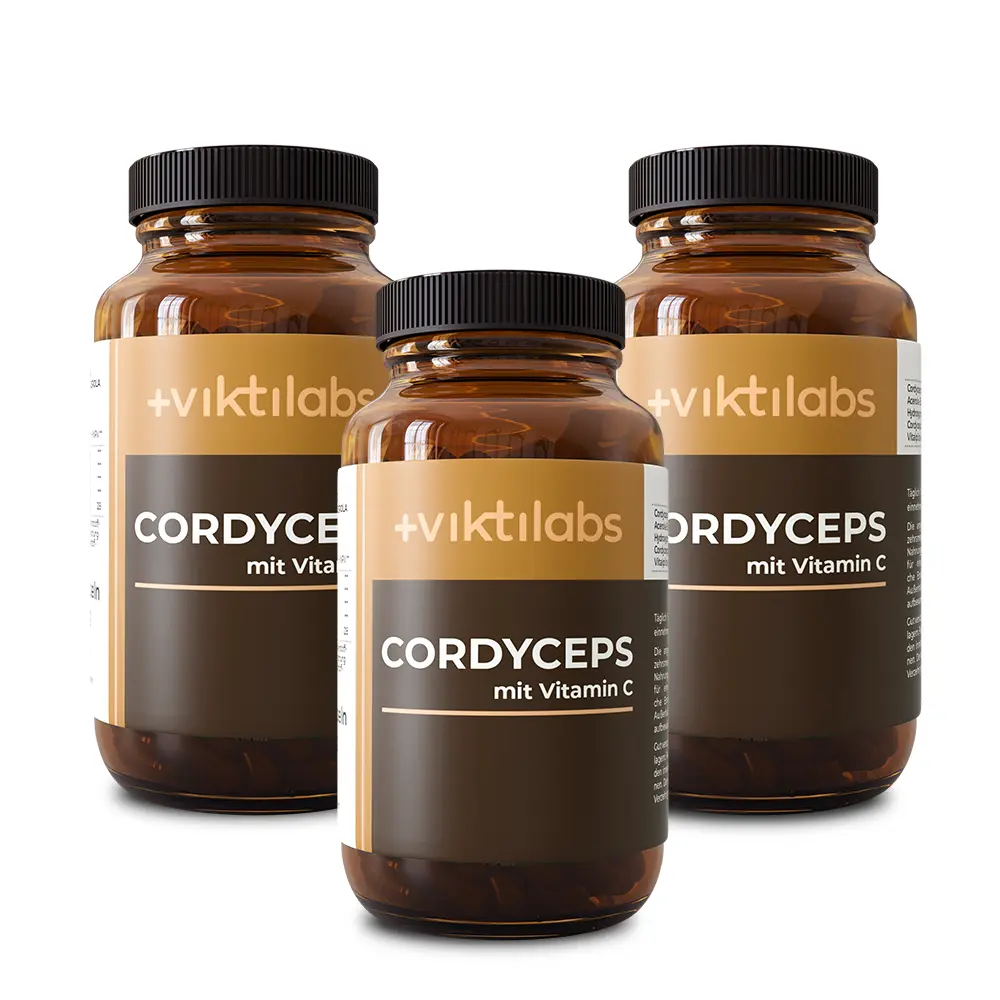Premium Cordyceps: Vitalpilz mit Vitamin C - Image 24