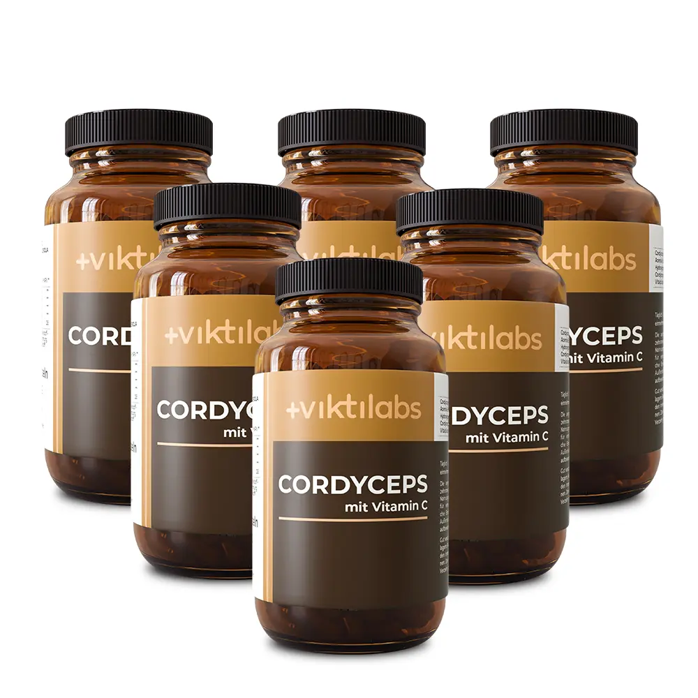 Premium Cordyceps: Vitalpilz mit Vitamin C - Image 25