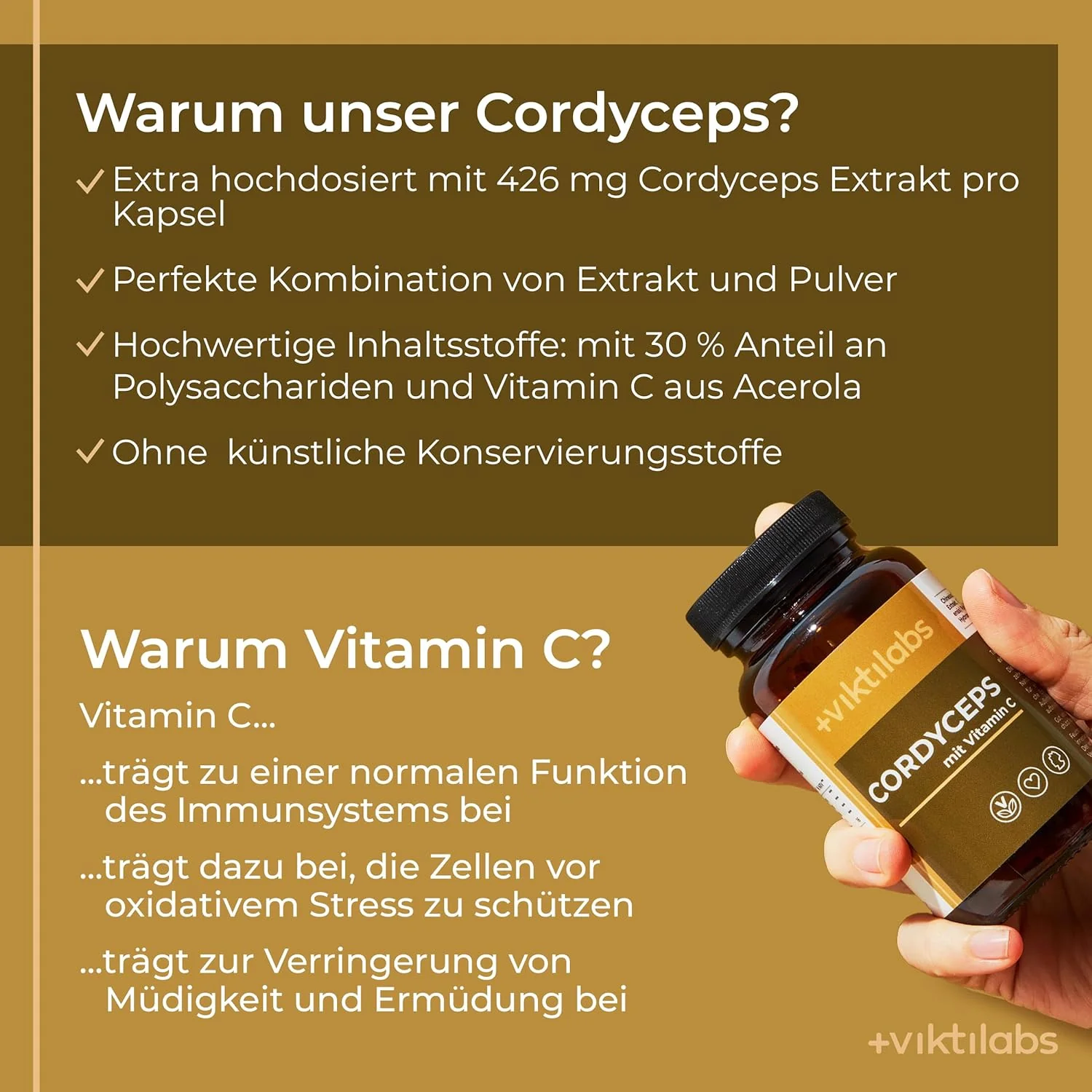 Premium Cordyceps: Vitalpilz mit Vitamin C - Image 3