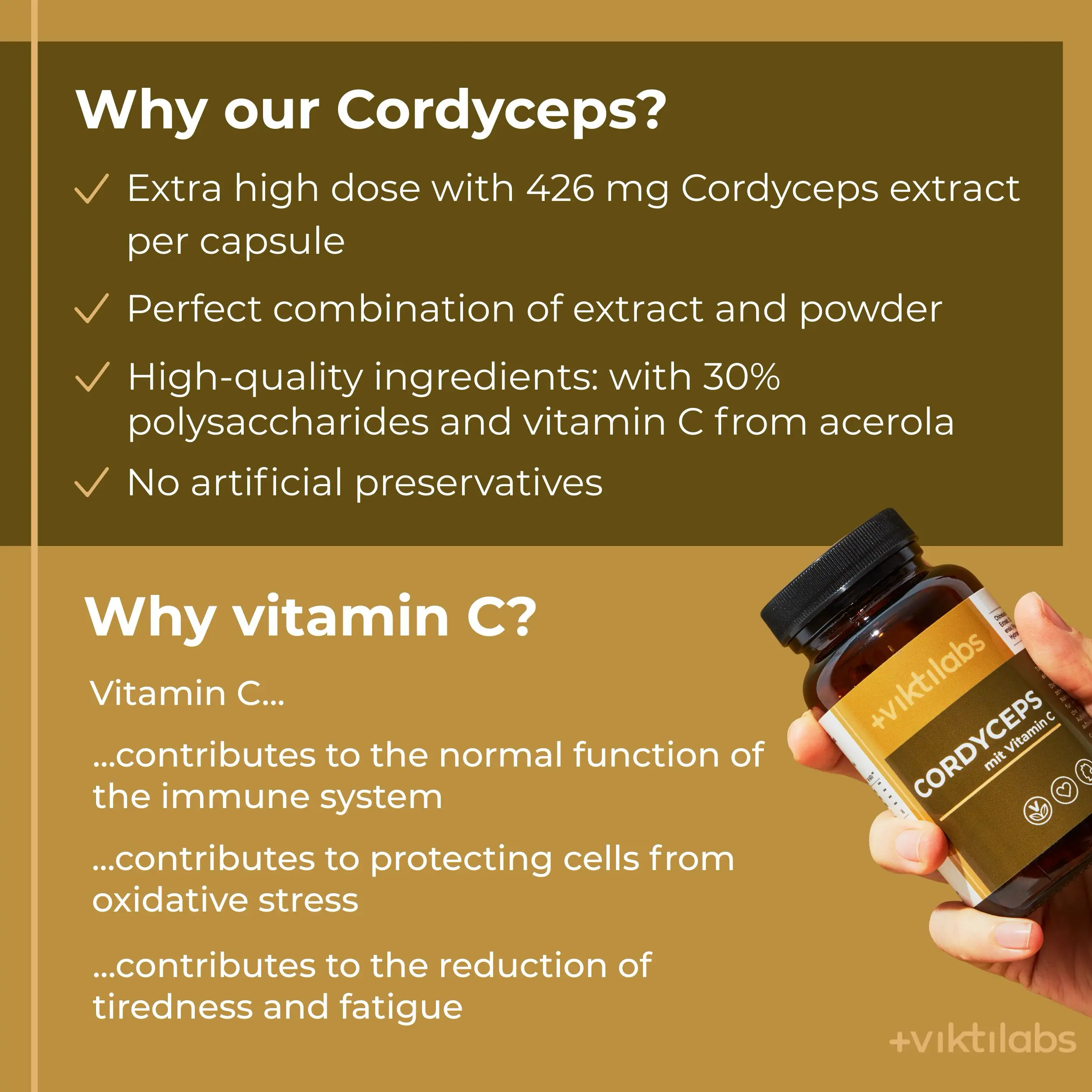 Premium Cordyceps: Vitalpilz mit Vitamin C - Image 7