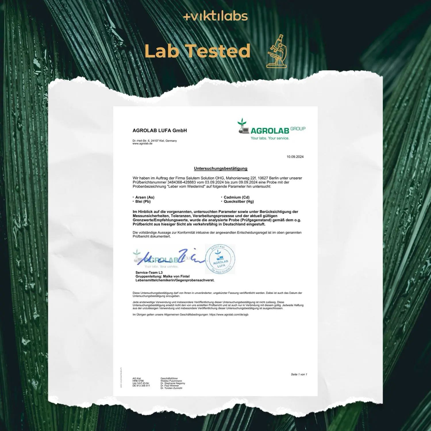 Leber vom Weiderind: 100% Grasfütterung aus nachhaltiger Weidehaltung - Image 4