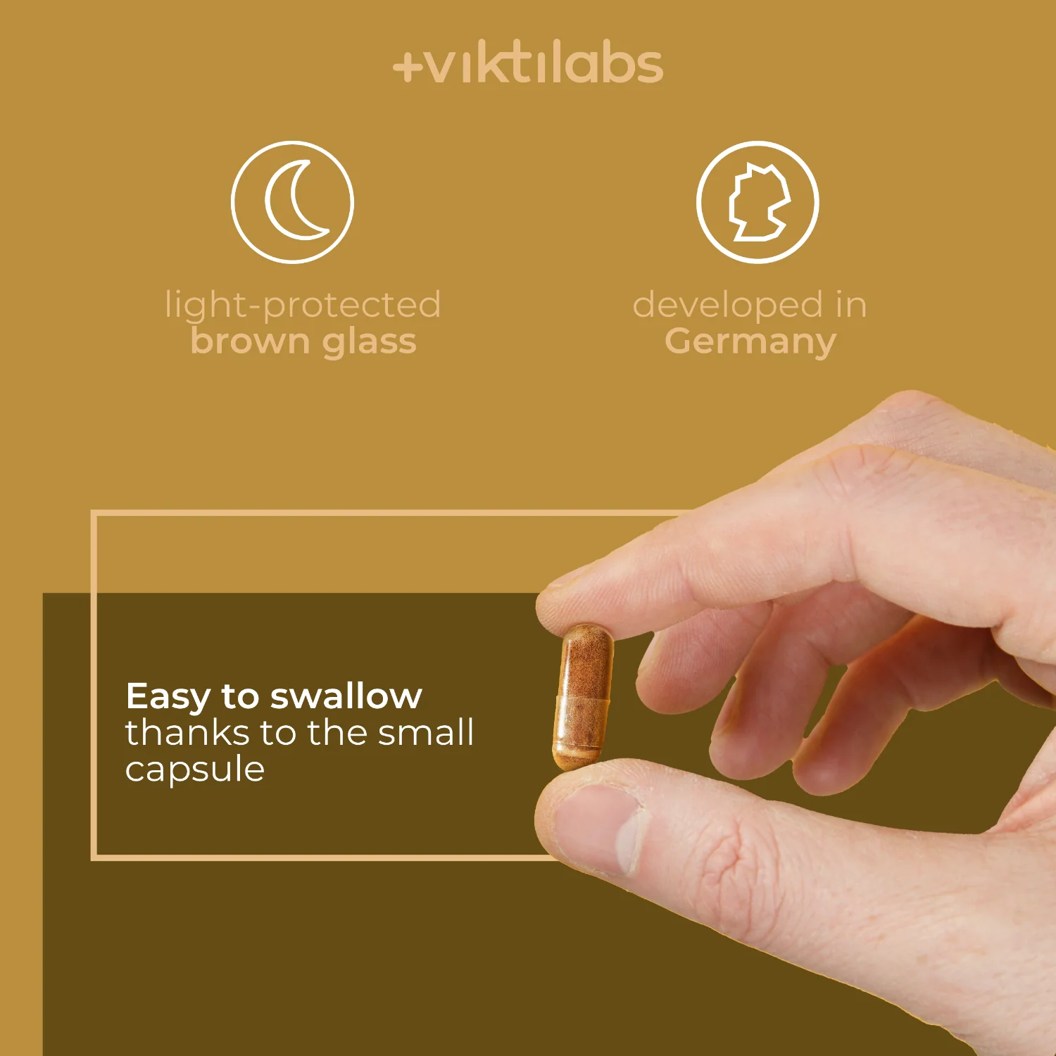Premium Reishi: Vitalpilz mit 100% natürlichem Vitamin C - Image 10