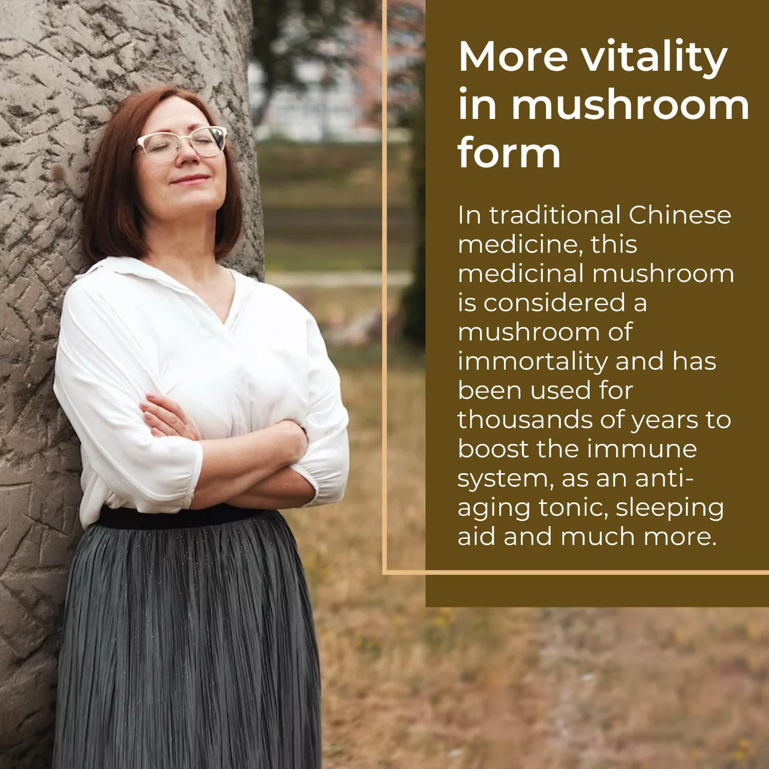 Premium Reishi: Vitalpilz mit 100% natürlichem Vitamin C - Image 11
