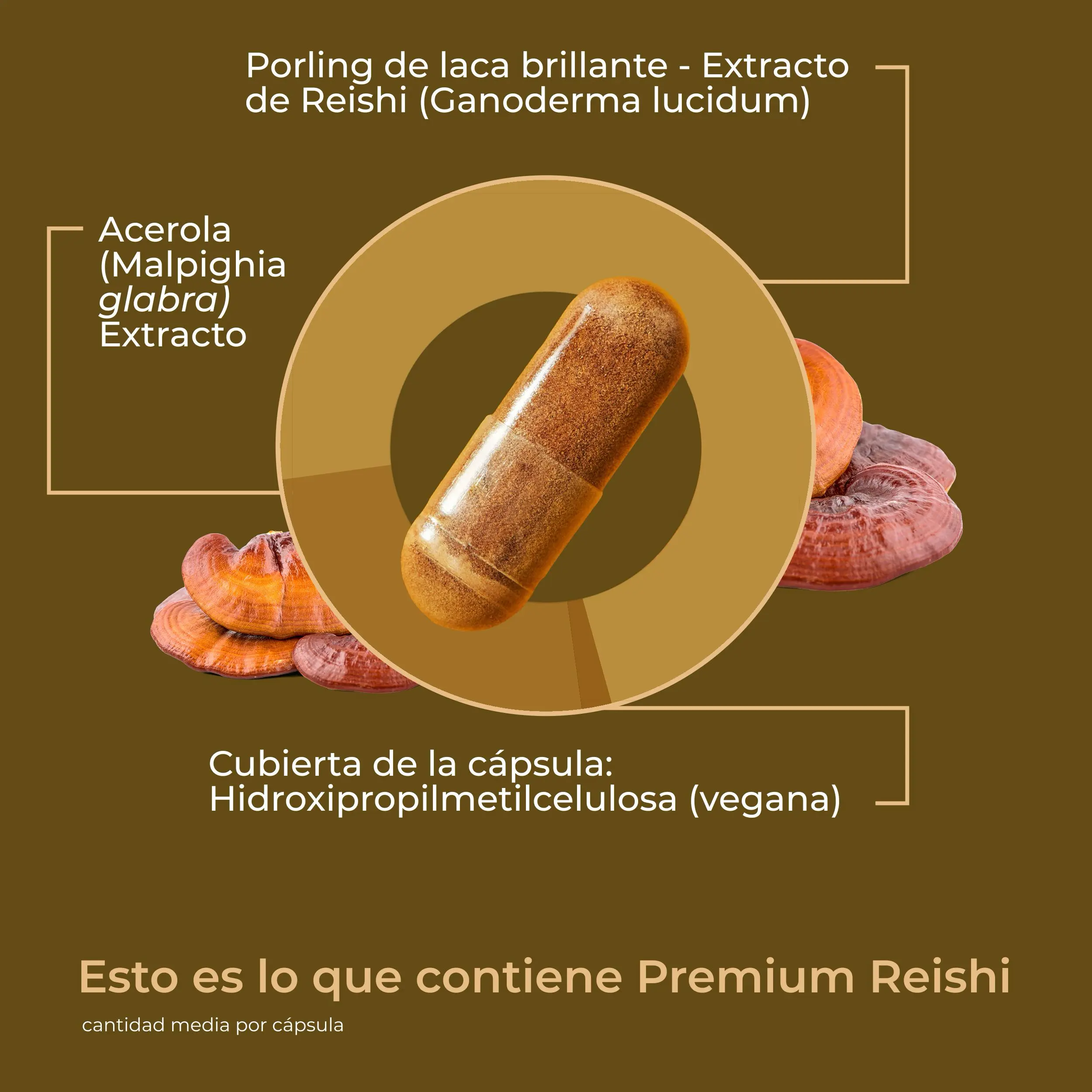 Premium Reishi: Vitalpilz mit 100% natürlichem Vitamin C - Image 13