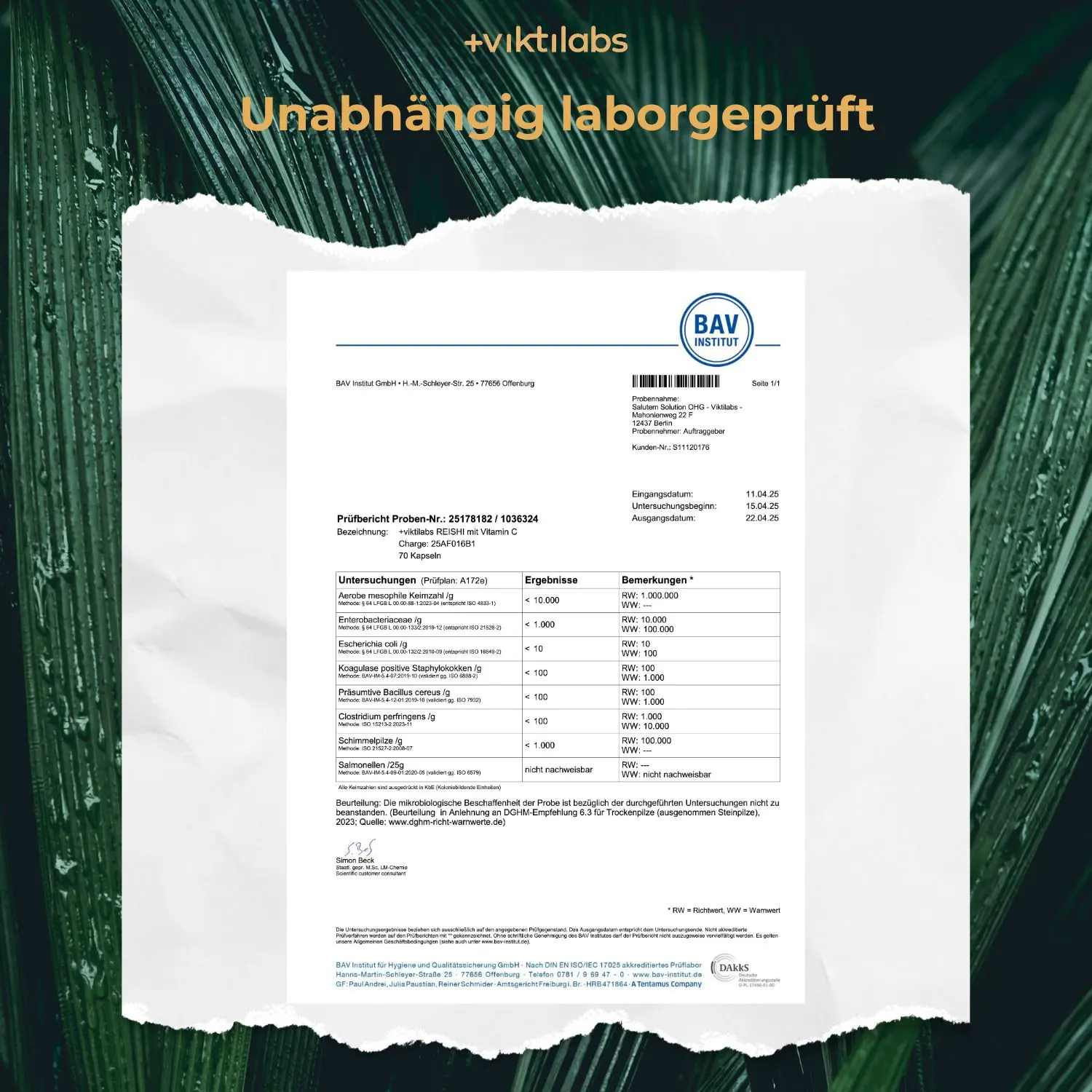 Premium Reishi: Vitalpilz mit 100% natürlichem Vitamin C - Image 18
