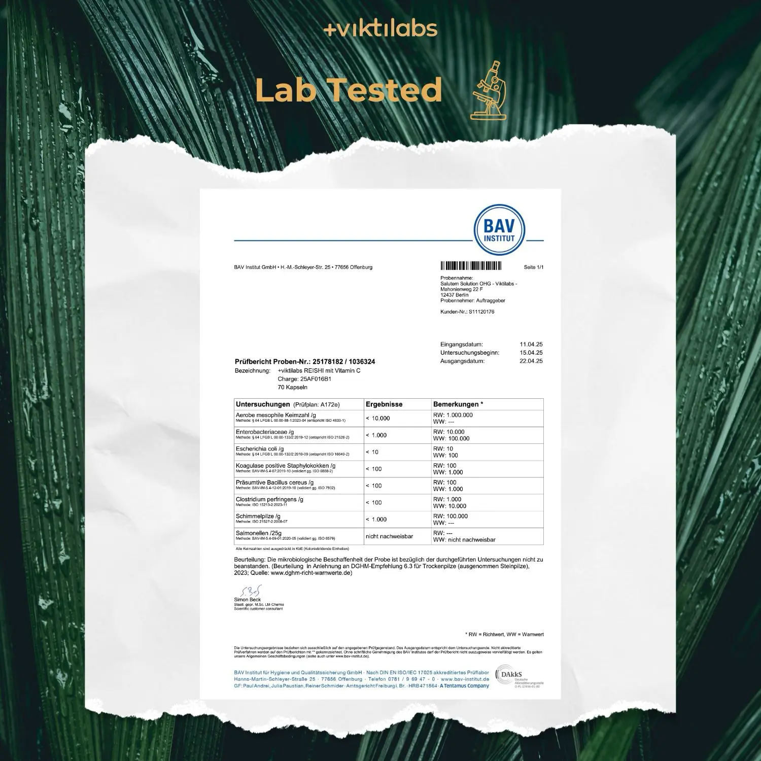 Premium Reishi: Vitalpilz mit 100% natürlichem Vitamin C - Image 20