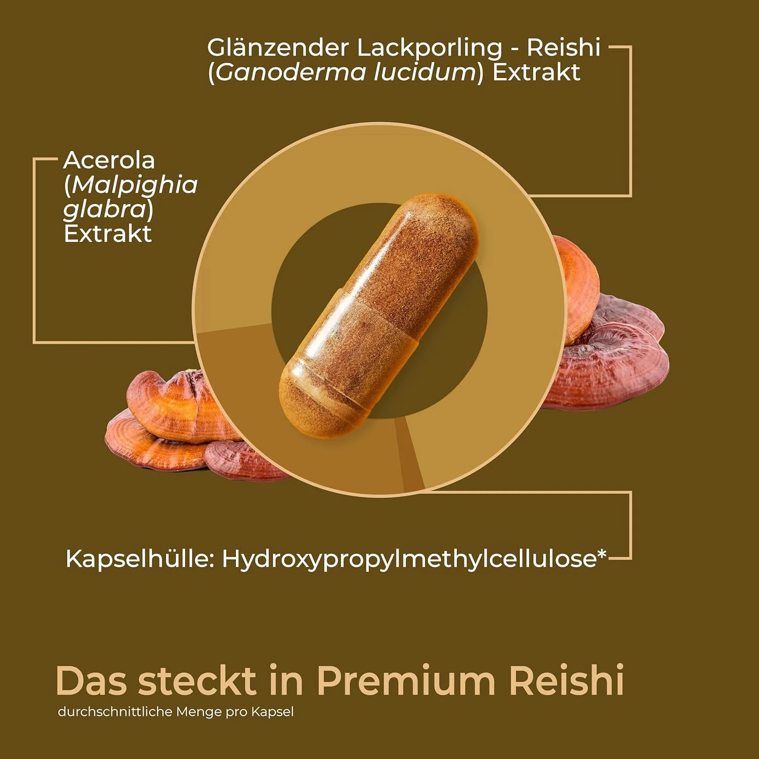 Premium Reishi: Vitalpilz mit 100% natürlichem Vitamin C - Image 4